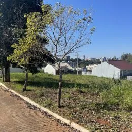 Terreno, foto 3