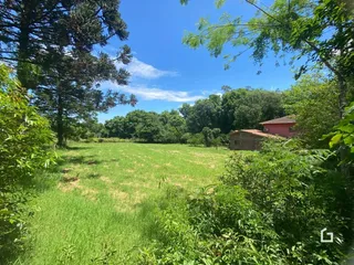Paisagem de campo com grama verde e árvores ao fundo.