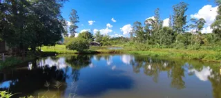 Área rural com 5 dormitórios, foto 7
