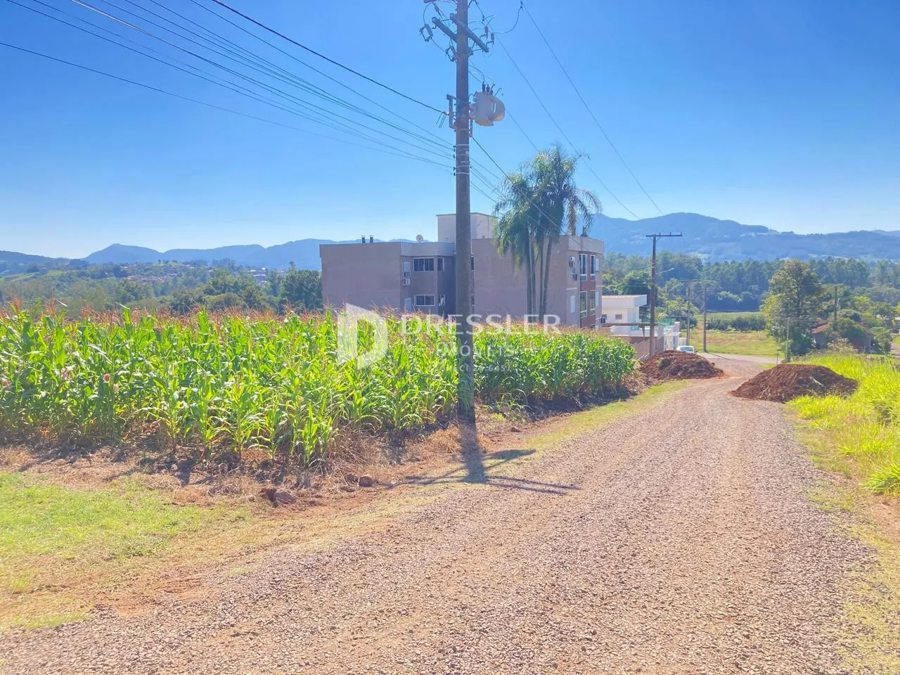 Terreno, foto 1
