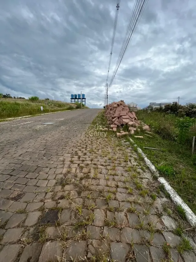 Terreno