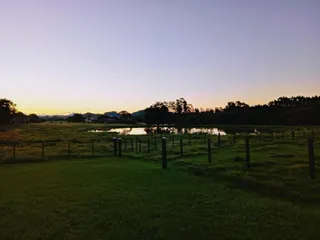 Área rural com 4 dormitórios, foto 3