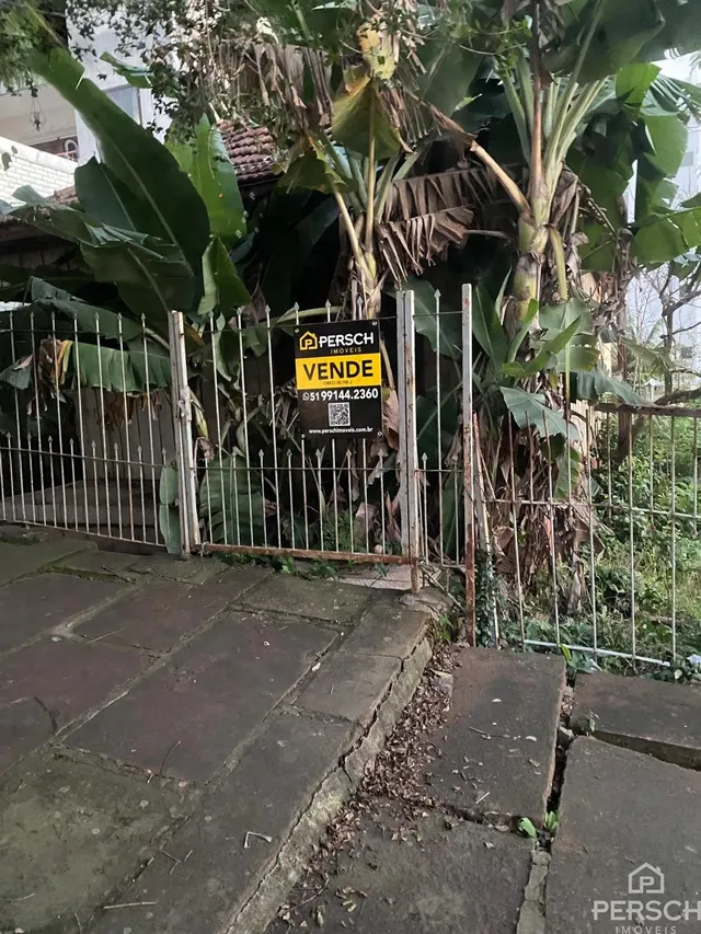 Terreno, foto 2