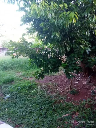 Casa com 5 dormitórios, foto 15