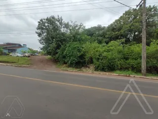 Terreno, foto 1
