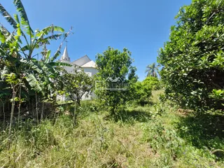 Casa com 3 dormitórios, foto 18