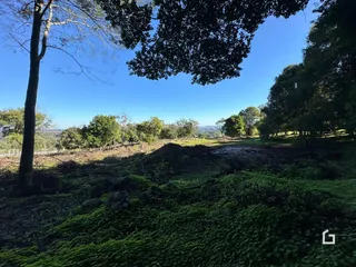 Paisagem de campo com vegetação verde e árvores ao fundo.