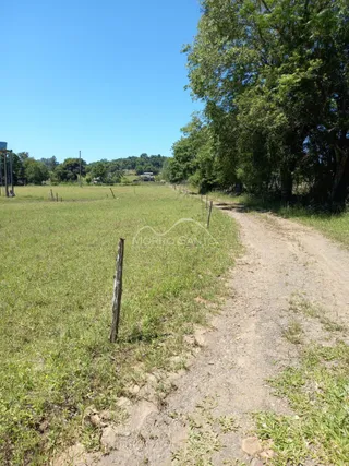 Vista de uma estrada de terra que leva a um campo aberto com vegetação ao redor.
