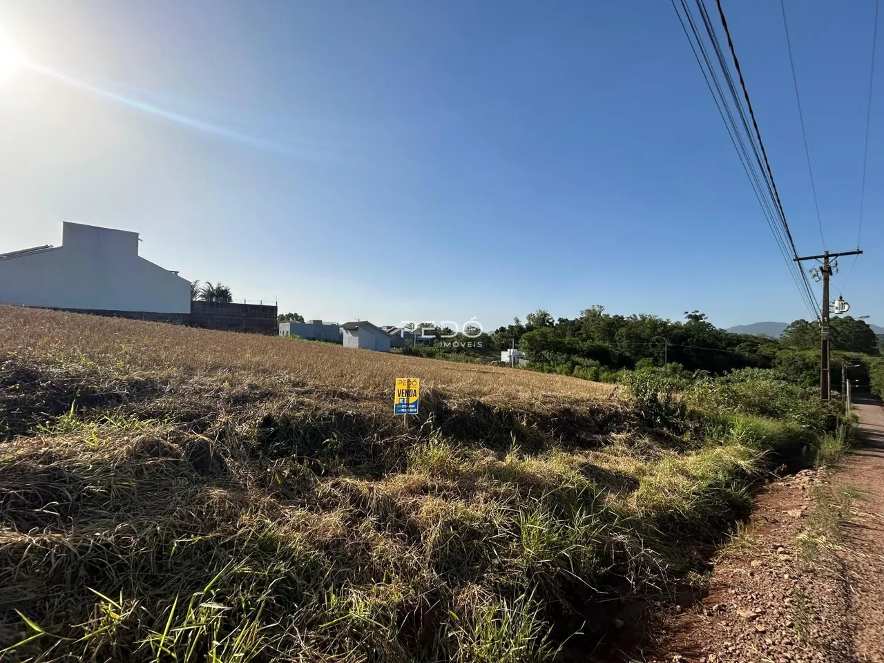 Paisagem de campo com grama seca e vegetação ao fundo.