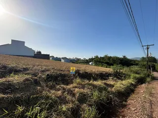 Paisagem de campo com grama seca e vegetação ao fundo.