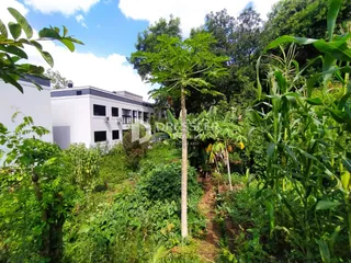 Casa com 4 dormitórios, foto 16