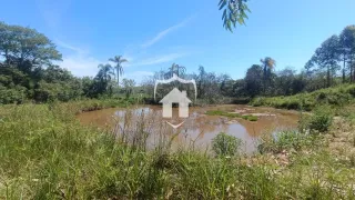 Paisagem de rio com vegetação densa na área de Lajeado.