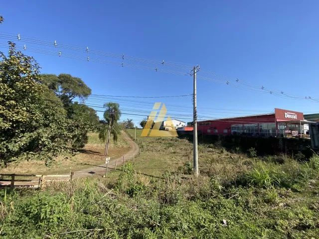 Terreno, foto 5