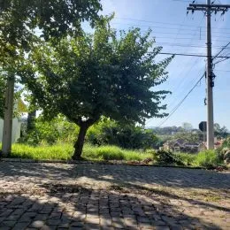 Terreno, foto 2