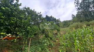 Área rural, foto 23
