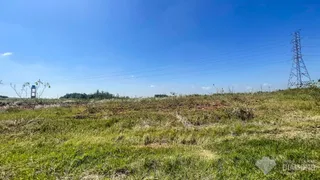 Terreno, foto 4