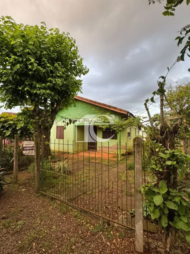 Terreno, foto 3