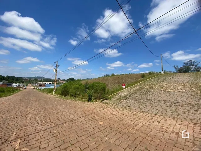 Terreno, foto 3