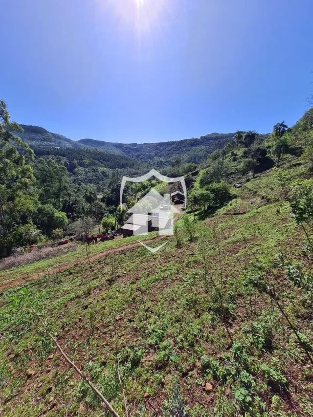 Área rural com 2 dormitórios, foto 3