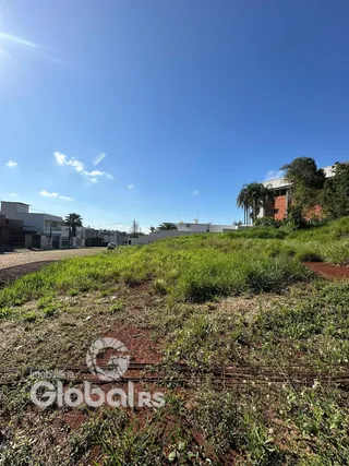 Vista da paisagem com vegetação no terreno.
