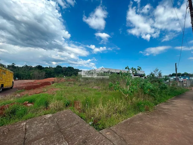 Vista de uma área de terreno com vegetação e solo exposto sob um céu azul.