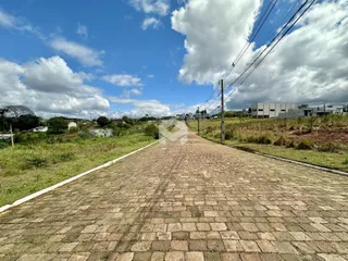 Uma estrada pavimentada se estende por uma paisagem verde sob um céu azul.