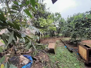Casa com 2 dormitórios, foto 7