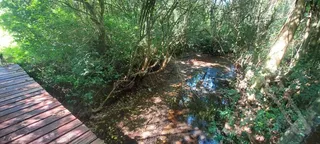 Área rural com 1 dormitório, foto 15
