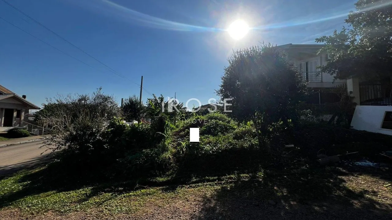 Terreno, foto 1