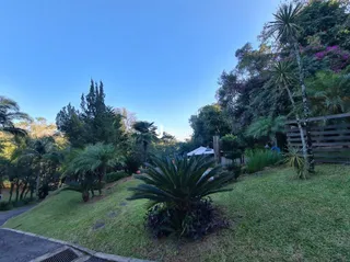 Área rural, foto 48