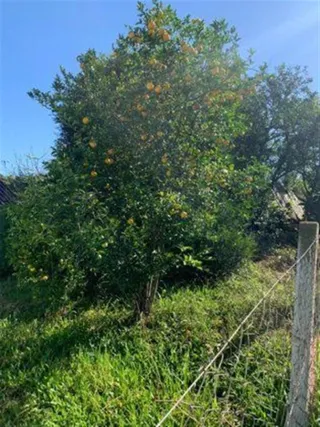 Área rural, foto 9