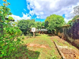 Vista externa de um terreno com vegetação densa e muro de contenção.