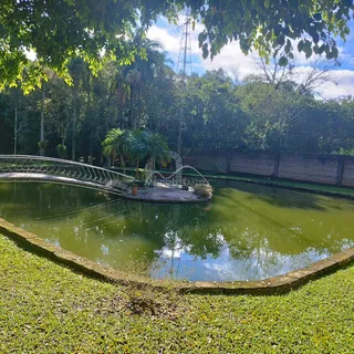 Paisagem de um lago com ponte decorativa e gramado verde em um ambiente externo.