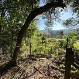 Paisagem externa com árvores e vegetação em uma área de terra.