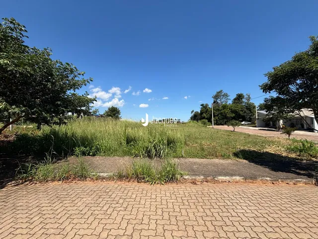 Paisagem de campo com vegetação e árvores sob um céu azul.