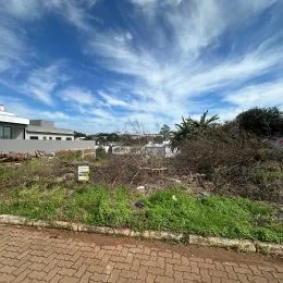 Vista externa de um terreno com vegetação rasteira.