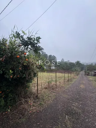 Terreno, foto 3