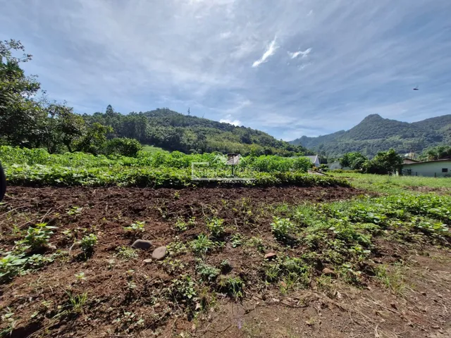 Terreno, foto 4
