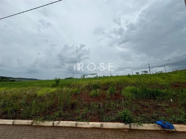 Terreno, foto 2