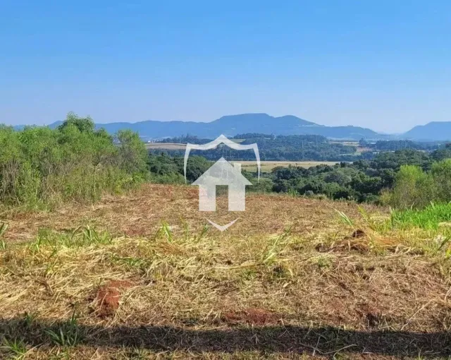 Terreno com vegetação seca e vista para as montanhas.