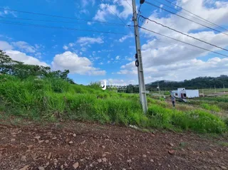 Paisagem de campo com vegetação alta e poste de luz em Lajeado.