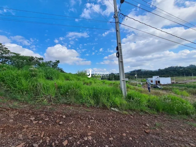 Paisagem de campo com vegetação alta e poste de luz em Lajeado.