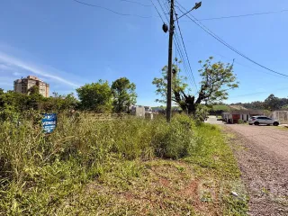 Terreno, foto 1
