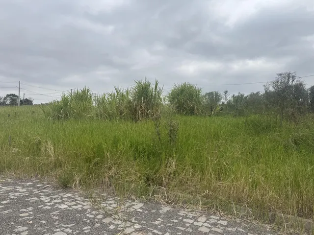 Terreno, foto 2