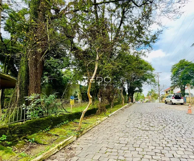 Terreno, foto 3
