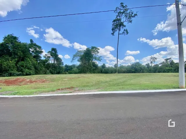 Vista de um campo gramado com árvores ao fundo.