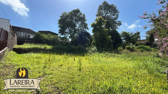 Terreno, foto 3