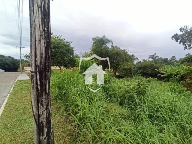 Terreno, foto 2