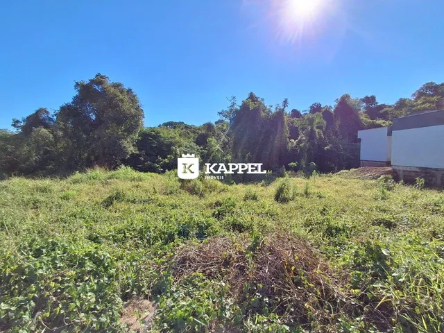 Vista de um terreno com vegetação alta sob luz solar intensa.