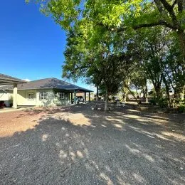 Vista externa de uma área com árvores e grama em um terreno.